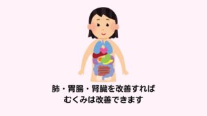 東洋医学ではむくみの原因の内臓の疲れを肺、胃腸、腎臓と考えます。
