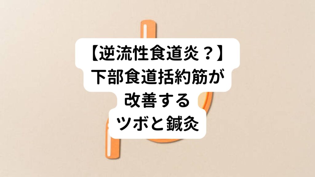 【逆流性食道炎？】下部食道括約筋が改善するツボと鍼灸