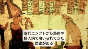 古代エジプトから熱病や婦人病で用いられてきた歴史がある