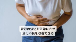 胃液の分泌を正常にさせ消化不良を改善できる