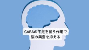 GABAの不足を補う作用で脳の興奮を抑える
