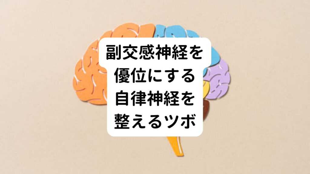 副交感神経を優位にする自律神経を整えるツボ