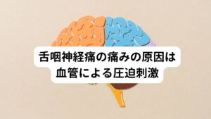 舌咽神経痛の痛みの原因は血管による圧迫刺激舌咽神経痛が起こる痛みの原因には、舌咽神経に起きる強い圧迫が関係しています。
舌咽神経が強く圧迫されると、神経に異常な電気信号が伝わり脳で「強い痛み」として認識するされて痛みを感じます。

舌咽神経を圧迫する原因となるものには、この神経の周りを走行している血管が神経を圧迫していることや神経の周りに腫瘍ができることなどが考えられます。

この舌咽神経は、脳神経の一つであり喉と舌の後ろの3分の1から耳にかけての感覚を支配しています。
そのため、舌咽神経痛の痛みの範囲は喉の奥や舌の奥、耳の周りとされています。