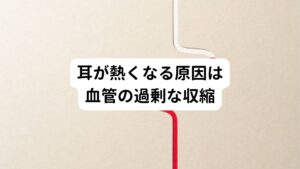 耳が熱くなる原因は血管の過剰な収縮耳が熱くなる原因は、様々なものが考えられます。
一般的なものとしては、慢性疲労や精神的なストレスによる過緊張が考えられます。

この要因によって自律神経のバランスが崩れてしまい、末梢の血管が過剰に収縮して血流が悪くなることで発生します。
また、暑さや身体の外気温との寒暖差が大きい場合でも、耳が熱く感じられることがあります。

これは、体温調節の働きも自律神経が担っているためで、必要以上に血管が拡張して熱を逃がそうとするために起こります。