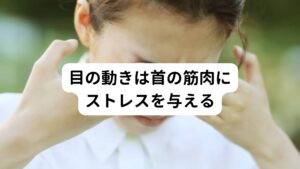 目の動きは首の筋肉にストレスを与える「動くものを見るとめまいが起こる」という症状は目の動きに微調節を与えている後頭下筋群(こうとうかきんぐん)という筋肉の過緊張が関係しています。とても小さい筋肉なのですが、この筋肉が疲労を起こして緊張すると首から頭に向かって流れる血流が滞ってしまうためめまいが起こると考えられてます。

また「振り向くときにめまいが起こる」という症状はストレートネックと直接関係しており、ストレートネックによる首の筋肉の過緊張とさらに首を振り向く際に強い筋肉の緊張が首の血管を圧迫してしまい、頭部への血流を阻害してしまうことでめまいが起こります。

どちらも何らかの筋肉の緊張によって血流を滞らせてしまうことがめまいの原因と考えられています。