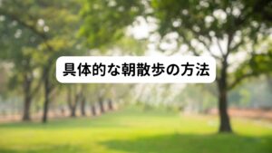 具体的な朝散歩の方法基本的な方法は、起床後1時間以内に、15～30分の散歩を行います。
午前中に行いましょう。（※できれば10時まで）

朝散歩は雨の日でも十分に効果があります。
できればビタミンDを生成するためにもサングラスはかけず紫外線を防御しすぎないのがポイントです。

健康な人であれば、15分ほどでセロトニンが活性化していきます。
「精神疾患のある人」「精神的に弱っている人」「睡眠に問題がある人」などであれば、セロトニン神経が弱っている可能性が高いので、30分くらいを目安に散歩を行ってください。

ただし、30分を超えるとセロトニン神経が働き過ぎて疲労を起こしてしまうため逆効果になるので注意してください。
また、起きて3時間以上が経ってから朝散歩をすると、体内時計が後ろに3時間ズレてしまうので逆効果です。