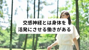 交感神経とは身体を活発にさせる働きがある交感神経が機能しているときは、「身体が活発に働いている時」です。
とくに日中の活動時間に生産性のある事を行っているときに優先的に機能しています。
この交感神経によって日中起きている時間帯に様々な活動を行う事ができます。