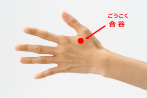 【合谷(ごうこく)】
合谷は手の親指と人差し指の間にあります。
親指の腹をツボにあてて、人差し指で挟んで指圧します。