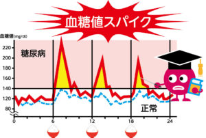 血糖値というと、糖尿病という言葉を思い浮かべると思いますが、血糖値が「高い」ことだけが病気ではありません。
実は、「常に血糖値が低すぎる」または、「急に血糖値が高くなってすぐに低くなる」という、ジェットコースターのような動きをすることも身体とって大きな負担になります。
この血糖値の乱高下を血糖値スパイクといいます。

この血糖値の大きな変動や血糖値が低すぎる時間が長いことでも片頭痛を起こす原因の一つになります。
その理由として低血糖になると大量のアドレナリンが分泌されやすくなり、血管が収縮して頭痛が起こるようになります。
この血糖値に関わる頭痛はズキンズキンと脈打つような強い痛みが特徴です。


※血糖値スパイクについては下記のリンクから別ページで詳しく解説しています。