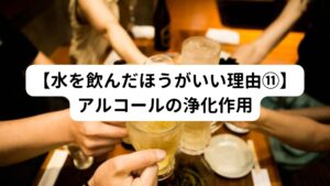 体内に溜まったアルコールを排出する為には、水分が必要不可欠です。
アルコールには利尿作用があるので、水分を取っているようでも身体は脱水状態に傾きます。

そのためアルコール分解をしてくれる肝臓の為にも、週２回は休肝日を設け適度な水分補給をしましょう。