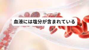 歯磨き粉に塩分が入っていないにもかかわらず歯磨き後に口が塩辛くなる一番の原因には出血による血液が影響している可能性があります。
血液には0.9%の塩分が含まれ、太古の海水の塩分濃度と同じ濃度が保たれ、海水と同様に塩辛い味がします。

歯磨き後に塩辛い味がするということは、歯磨きにより歯肉から出血している可能性があります。