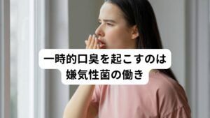 一時的口臭と病的口臭の２つの類の口臭があることを解説しました。
ではなぜ唾液の分泌量を高めることで口臭が改善されるのでしょうか。

その理由は唾液の分泌量が低いと口臭が起こりやすいという事実です。
一時的口臭の場合、口臭を起こす原因となるのは嫌気性菌と呼ばれる細菌です。
この細菌は酸欠状態の環境を好む特徴があります。

しかし唾液には酸素が含まれているため、唾液の分泌量が減少してしまうと口の中は渇いた状態で酸欠の状態になります。
この状態になると嫌気性菌が繁殖しやすい環境であるため、嫌気性菌の働きが活発になり、結果として歯垢を分解して口臭を引き起こしてしまいます。