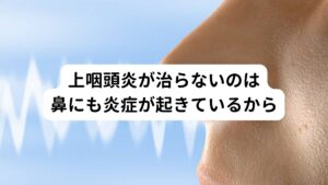 上咽頭炎といえどもその炎症は上咽頭だけ起きている場合もありますが、同じ絨毛細胞でつながっている鼻の粘膜にも炎症があるケースも多い傾向にあります。
そのためｂスポット療法（EAT)を「100回やっても治らない」と悩まれている方は上咽頭の粘膜のみに炎症が起きているわけではなく鼻粘膜にも炎症が起きているせいで改善できていないのではないかと考えられます。

喉の炎症をbスポット療法で一時的に抑えても鼻粘膜の炎症があれば炎症は消えていないので上咽頭炎が再発してしまうと推察します。