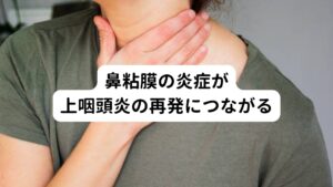 上咽頭炎が治らない、良くなっても再発してしまうといった原因を考察した場合にこの「鼻粘膜にも炎症が残っている」ということが上咽頭炎全ての炎症の鎮火ができていないことが一番の原因ではないかと考えられます。
あくまでも個人的な見解ですが副鼻腔の篩骨洞と蝶形骨洞の炎症が残りやすいと推測しています。