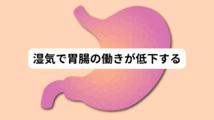 東洋医学では湿度が高いと胃腸の働きは悪くなるといわれています。
胃腸の働きが悪くなると、食欲が不振になり、さらに肩こりや腰痛以外にも症状が出やすくなります。

また、水分の循環が上手くいかず停滞してむくみ・食欲不振・めまいなどの症状を引き起こします。
水分がうまく排出する機能が働かないため、身体が重くなりトイレの回数が減る症状も起こります。