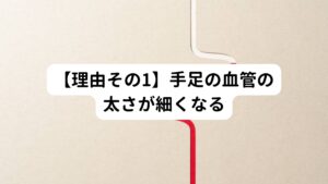 私たちの手足の温度は末梢血管の血流量によって左右されます。
末梢血管とは手や足などの体の末端を流れる血管(血液)のことです。

心臓から排出された血液は
大動脈⇒動脈⇒毛細血管⇒静脈⇒大静脈⇒心臓
と1分間に約５ℓもの量が絶えず全身を循環しています。

これによって各組織に酸素や栄養が送られ、不要となった老廃物がや腎臓へと運ばれています。
心臓から排出された血液の約15％が骨格筋といって内臓以外の筋肉に流れています。