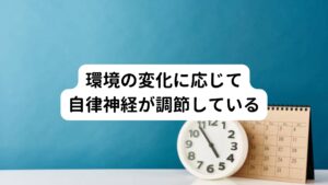 血液の流れは気温や運動、体温など様々な要因によって変わっています。
その環境に適した血液の循環になるように自律神経が自動的に私たちの体の中で調節しているのです。

体に分布するセンサー⇒脳⇒自律神経⇒血流の調節

というようにして血液の流れはコントロールされています。
とくに手足の末梢の血液をコントロールしているのは自律神経の中の交感神経になります。