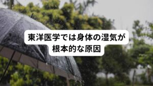 東洋医学で好酸球性副鼻腔炎による後鼻漏を考えると脾という臓腑（＝消化器・胃腸の機能を司る）の運化作用の低下が当てはまります。
これは脾の機能低下によって余分な水分が排泄できずに身体に湿気が生じていると考えられています。

そのため湿気が溜まりやすい食事を毎日繰り返してしまうと、いくら去痰薬（カルボシステイン）を服用し続けても新しく痰・鼻汁が湧いてしまい対処できません。
好酸球性副鼻腔炎は病名に囚われずに身体の状態を東洋医学的に診て余分な湿が副鼻腔に溜まってしまう身体の状態を改善するという視点で治療していけば徐々に改善できます。