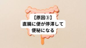 排便を我慢したり寝たきりの状態になると排便の反応が低下し直腸に便が停滞してしまい便秘が起こります。