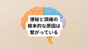 便秘のように腸に内容物(排泄物)が長く留まると、再吸収された水分とともに毒素も血流にのって全身に回ることがあります。
この毒素自体が身体の痛みなどの不調を起こす原因になることもありますし、血行を悪くさせて筋肉を硬くし頭痛を招く場合もあります。

他にも便秘が起きている自体、自律神経の不調が起きていると考えます。
そのため自律神経の不調によって頭痛が便秘とともに併発することも考えられます。

さらに血管の拡張や収縮も自律神経支配であるため、精神的ストレス等で自律神経の交感神経が過剰に興奮してしまうと血管が拡張して頭痛が起こることもあります。

このように便秘と頭痛は相互かつ複合的に密接な関連してします。
そのため便秘と頭痛を含めた身体全体の機能面の治療で考えることが不調の解消に重要です。