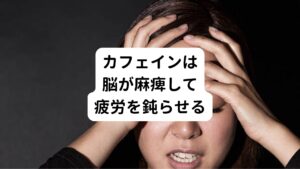 交感神経は主に日中に活動しているときに働き、エネルギーを消費します。
逆に副交感神経は睡眠や休息をとっているとき主に働くことでエネルギーの補充や傷の修復を行います。
自律神経失調症はこの2つの神経のバランスが崩れている為、交感神経が働きすぎて不調を感じやすかったり、副交感神経の働きが鈍くしっかり身体が回復が出来なかったりします。

このような状態でカフェインを摂ってしまうと、通常は自律神経失調症でエネルギー不足で動けない状態であっても「不調を感じずに動けてしまう」という錯覚が起こります。 そのため本来なら休まなくてはいけないときに「エネルギーを使い切って本当に動けなくなるまで動いてしまう」ということが起きてしまいます。