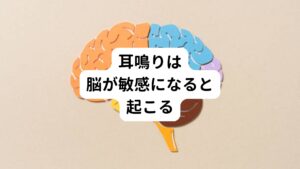 耳鳴りの起こり方は耳鳴りが起きたり収まったりなど断続的に繰り返すものと、持続的に一定の音でずっと耳鳴りが起きるものとがあります。
とくに自覚的耳鳴りはごく軽い耳鳴り症状でも気になる場合があり、大きな精神的なストレスと苦痛となることも多くうつ症状も引き起こされることがあります。

耳鳴りがある方は難聴も起きていることがあります。
聴力が低下すると脳に音の情報がわずかしか届かなくなるため、脳は音をもっと良く聴き取ろうと敏感に働かせます。
その状態が長く続くと実際の音がなくても敏感な回路が固定されてしまいます。
この鋭敏な音を聴き取ろうとする反応が耳鳴りを引き起こします。

この耳鳴りは加齢と共に頻度が高くなります。
統計では65歳以上の約30%の方に耳鳴りがあるという調査があります。