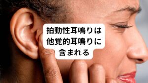 今回取り上げる拍動性耳鳴りについてですが、これは自覚的耳鳴りと他覚的耳鳴りの分類のうち、「他覚的耳鳴り」に分類されています。

耳は外耳(がいじ)・中耳(ちゅうじ)・内耳(ないじ)の3つから構成されています。
外からの音を受けると外耳・中耳・内耳へと音の振動が伝わり、最終的に音は信号として脳に伝わります。

拍動性耳鳴りが起きている原因には、内耳の病気、または脳の血管に何らかの異常がある場合に起こりやすいとされています。
「拍動」という名前が付いている通り、同じような音が一定のリズムで繰り返しているような耳鳴りがするのが特徴です。