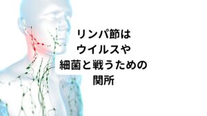 リンパには、フィルターの役割を果たす「リンパ節」という器官もあります。
このリンパ節の数は全身に600～700個あるとされています。

このリンパ節にウイルスなどの異物がリンパ管を通って集められ、リンパ節に存在する免疫によって処理されます。
リンパ節は特に、首をはじめとした６か所に集中してあります。

風邪を引くと首が腫れたり痛みが出たりするのは、首にあるこのリンパ節が、細菌やウイルスとしっかり闘ってくれている証拠です。
またリンパ節はウイルスや細菌に対するフィルターのような役割をしているだけではなく、免疫細胞の一つである「リンパ球」を数多く抱えているのも特徴です。

ウイルスや細菌などの異物が体内に侵入すると、このリンパ球が増加します。
その結果としてリンパ節で炎症が起こり、腫れてしこりや痛みになります。
いわば、リンパ節は免疫力を発揮するための関所といえます。