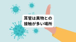 耳管腔内の下部ほど多くの線毛細胞(毛の形をした細胞)が存在し、上部ほどに線毛細胞は少なくなります。

線毛細胞の少ない耳管上部は換気を行い、中耳内と外界との圧の調整に深くかかわっています。
線毛細胞の多い耳管下部は中耳側から流れてくる分泌物を排泄する役目を担います。

また耳管全体は粘膜で覆われいます。
これは耳管を含む中耳の異物を外に出すためです。
耳管咽頭口（じかんいんとうこう）で鼻や喉に繋がっているために絶えずウイルスや細菌など異物と接触する機会が多いことが理由に挙げられます。