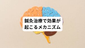 【当院の東洋医学に基づく鍼灸治療法】
体位性頻脈症候群の改善のために重要な頭部にある特殊なツボに鍼灸を施します。
この刺激が神経伝達を通じて、脳と自律神経の働きを健常化する仕組みです。
ほとんど鍼灸の痛みを感じない程度の治療ですので、リラックスして寝てしまうことがあります。


【鍼灸で改善するメカニズム】
①頭部や手足などのツボに鍼を刺します
②体質によってはツボに微弱電流を流します
③この鍼の刺激によって大脳の働きを活発化させます
④この大脳の活性化によって自律神経のバランスが安定します
⑤交感神経の末端からノルアドレナリンの分泌が増加され血流が正常化されます
⑥自律神経の働きが健常化され体位性頻脈症候群の症状が解消される