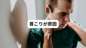 頚性めまいは同時に首こりを訴えている方が多い傾向にあります。
しかし、首こりの自覚がない方でも首こりが起きている場合もあります。
めまいに伴いやすい症状は、頭痛以外にも耳鳴りや難聴などの耳の症状が多く、これも首こりが原因と考えられます。