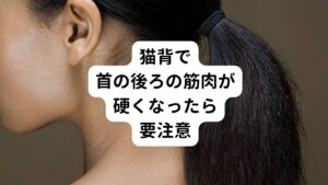 しかし、猫背姿勢で身体より頭や肩が前に出て、尚且つ顎も上に突き上がる姿勢を続けていると、首の後ろの筋肉が硬くこってきます。
この状態で頭を持ち上げて前方を見ようと顎を引いても頚椎が硬くなり無理な状態であるため、無意識に頚椎の真ん中あたりを前に曲げるようになります。
この悪い姿勢を続けていると、ストレートネックになります。