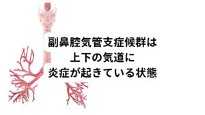 副鼻腔気管支症候群は上気道と下気道に慢性的な炎症や何度も炎症を繰り返す病態です。
とくに気管支に慢性の炎症が続く病気がある方は慢性副鼻腔炎（蓄膿症）といった上気道の炎症を合併しやすく、その合併した状態を副鼻腔気管支症候群と呼びます。
主に慢性的に痰の絡んだ咳症状（湿性咳嗽）が起こります。