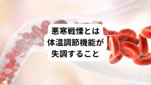 実は「手足の冷え」も悪寒戦慄の症状の１つです。
自律神経のバランスが悪くなると「体温調節機能」がうまく働かずに体が冷えてしまいます。
生命を維持するために内臓に体温(血液)を集めるかわりに、末端の手や足への血流が減少し冷えやすくなります。