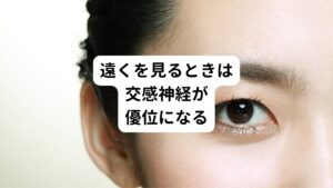 遠くを見るときは、目の中のレンズ（水晶体）が薄くなり無限遠方視(カメラでいう∞)の状態となります。
この時は、視界を広げ、光を多く取り入れるために瞳孔は散大します。
外敵から身を守るためには、交感神経を優位にして、遠くを見る必要があるための仕組みと考えられています。

一方で近くを見るときは、外敵からの恐怖がなく、リラックスした状態であることが多いために副交感神経が優位になります。
光を多く取り入れる必要がないため、瞳孔は縮小します。
また、水晶体が厚くなると視界の周辺部が光の屈折率に変化が及ぶため歪んでみえるようになります。
これだけでは脳にストレスを与えてしまうため、自然に瞳孔が小さくなり、像が歪むのを防いでくれます。 

遠方視：視界を広げたい←交感神経優位
近方視：視界を狭めたい←副交感神経優位