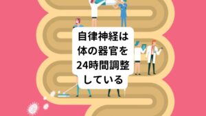 「季節の変わり目には、自律神経のバランスが崩れやすい」と一般的によくいわれます。
この自律神経というのは、循環器(心臓や血管)、消化器(胃腸)、呼吸器(肺)などの活動を調整するために24時間働き続けている神経のことをさします。

自律神経には、体の活動時や昼間に活発になる交感神経と、安静時や夜に活発になる副交感神経があります。
この交感神経と副交感神経の働きのバランスが季節の変わり目に起こる気候の変化による寒暖差などに対応できずに誤作動が起こることがあります。


そのため「季節の変わり目には、自律神経のバランスが崩れやすい」といわれていると考えられます。