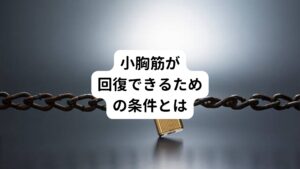 栄養を十分に摂れていなかったり、体内で消化や吸収されず筋肉で消費する形に変換されていないと栄養をうまく筋肉の疲労に使うことができません。
それだけでなく回復させるときに生じる老廃物を体外に排泄する働きも上手くいかないと小胸筋は元の正常な状態には戻ることはできません。
このような状態は全て「栄養不足」が原因と考えられ、この部分を改善しないと小胸筋症候群は解消できません。