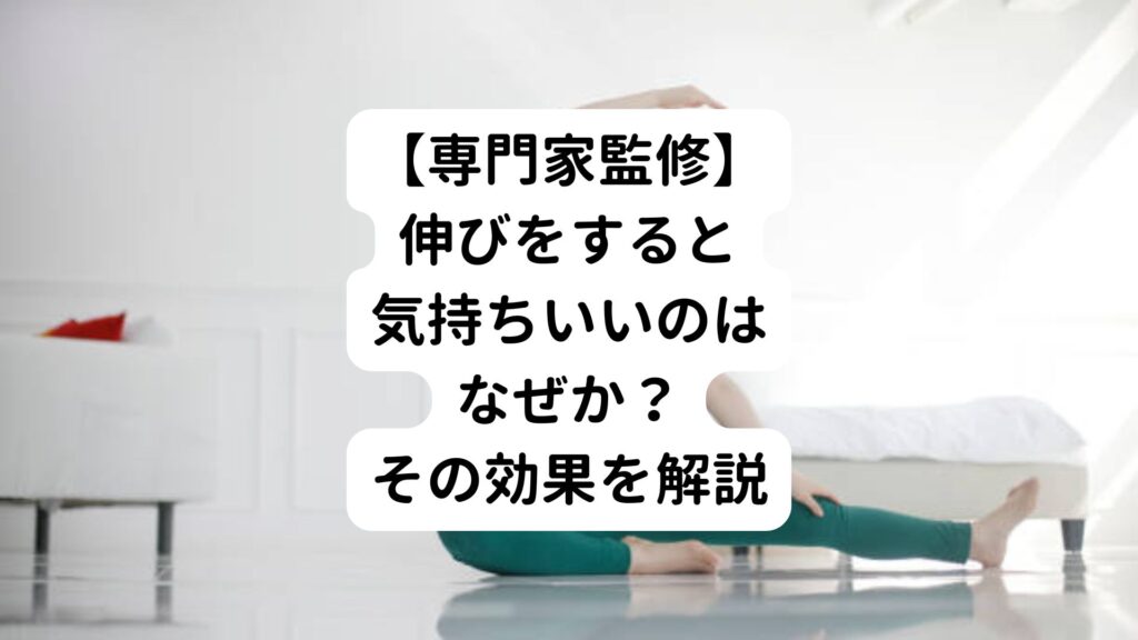 【専門家監修】伸びをすると気持ちいいのはなぜか？その効果を解説