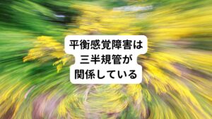 この平衡感覚障害の原因は現代医学ではまだわかっておらず不明とされています。
しかし最近の研究では、平衡感覚障害は耳の三半規管と呼ばれる部分の不調と関係があるとされています。

この三半規管は、検査では異常が発見しづらく、不明とされやすい部位です。
三半規管は身体の平衡感覚を保つ大切な場所であり、自律神経にも影響を与える器官です。

しかし、三半規管では小さなトラブルが起こりやすく平衡感覚障害が起こりやすい傾向にあります。
そのため、身体の平衡を保つことが出来ないために上記のような平衡感覚障害の症状が発生します。