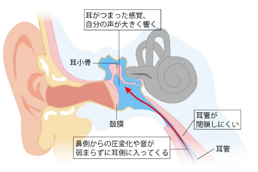 自律神経の働きについて